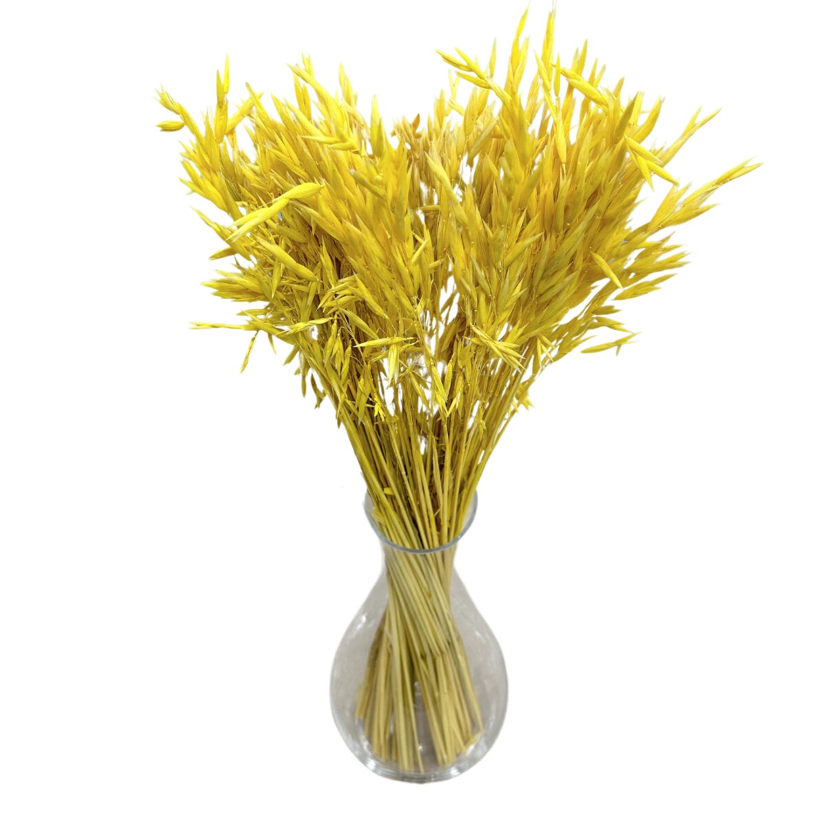 Suszony owies żółty - bukiet suszonego zboża 50szt.