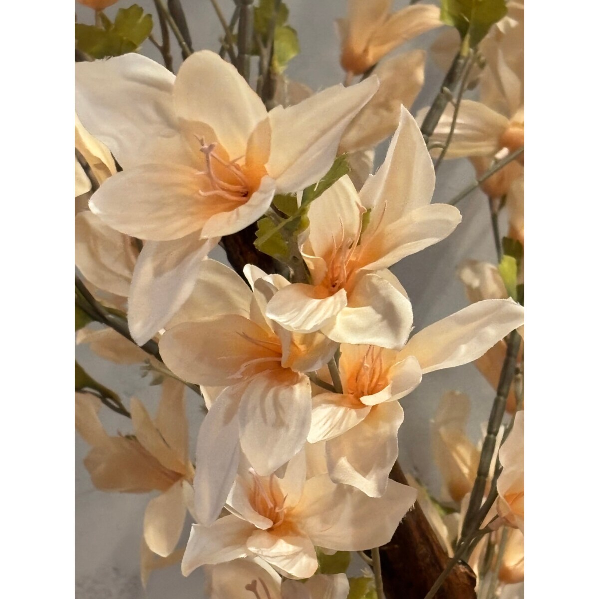 Drzewo kwitnące kremowe na naturalnym pniu 200cm