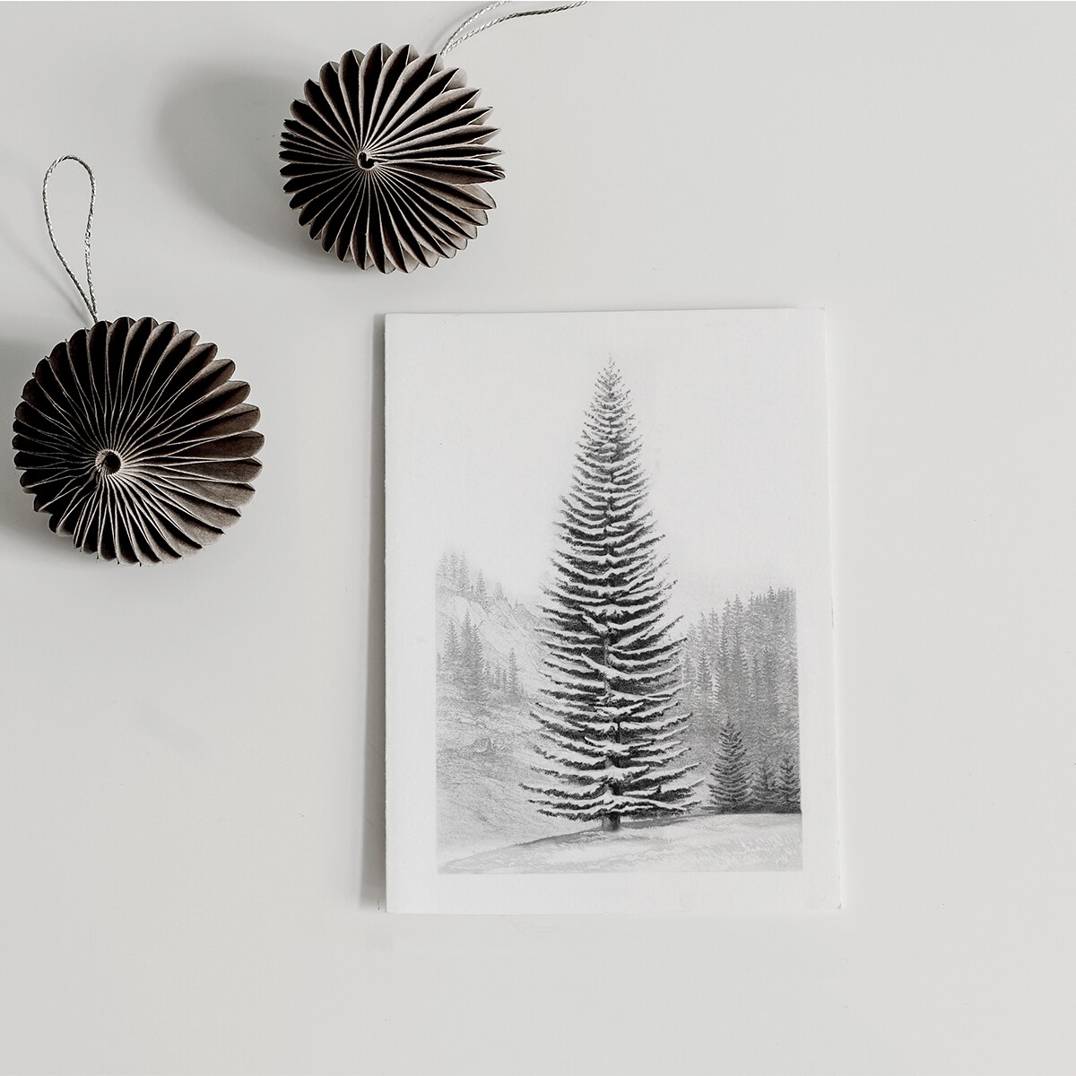 Plakat Jodła 21x30cm