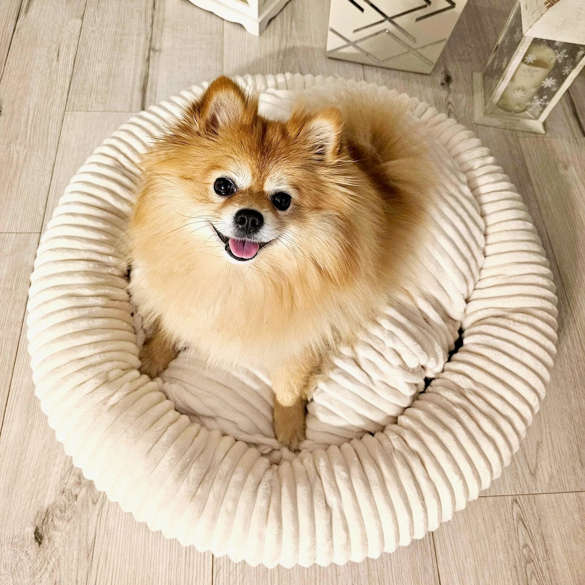 Urocze legowisko dla psa lub kota LUNA, 75x65 cm, Ecru