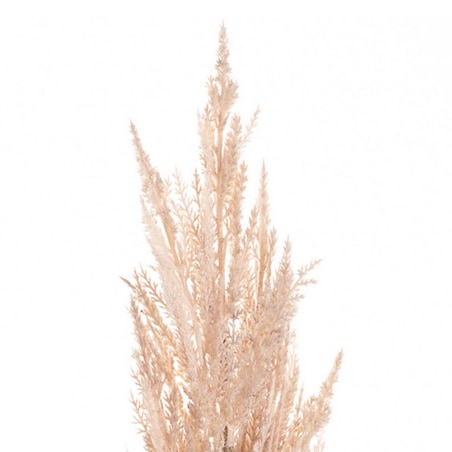 Gałązka Trawy Pampasowej 91cm pink, 5 x 5 x 91 cm