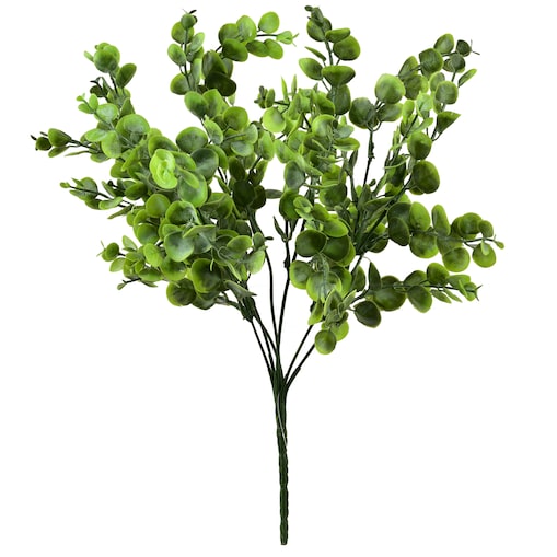 Bukiet Bukszpanu Viridis