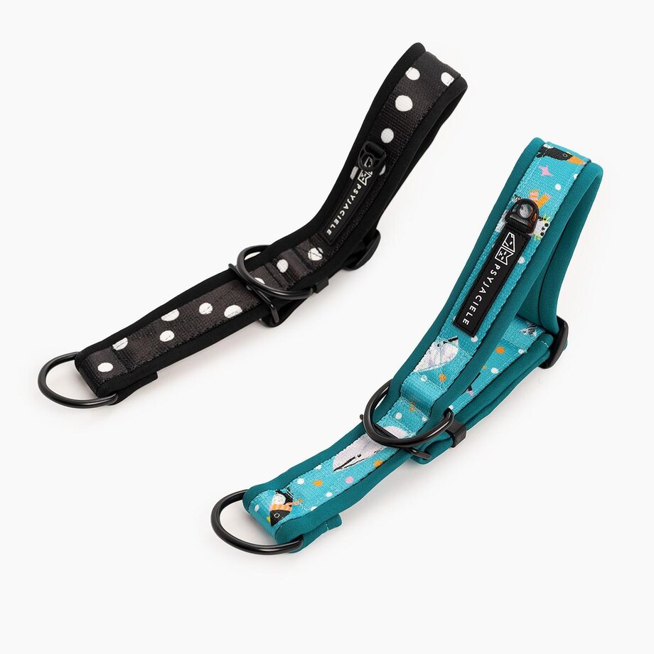 Obroża półzaciskowa SUPER SOFT "Psygarnij kropka" - Szerokość taśmy: 38mm, Rozmiar: L