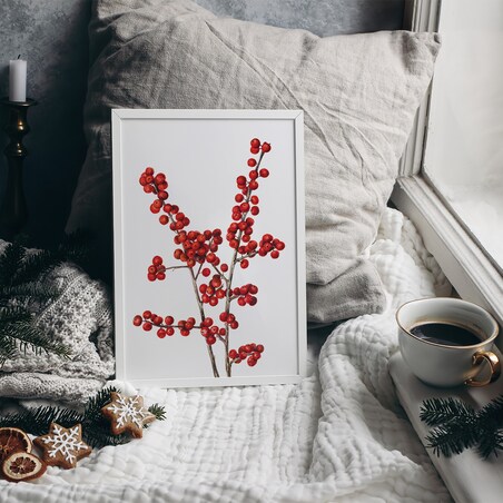 Plakat Ostrokrzew Okółkowy 21x30cm