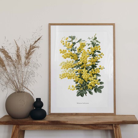 Plakat Mimoza 21x30cm