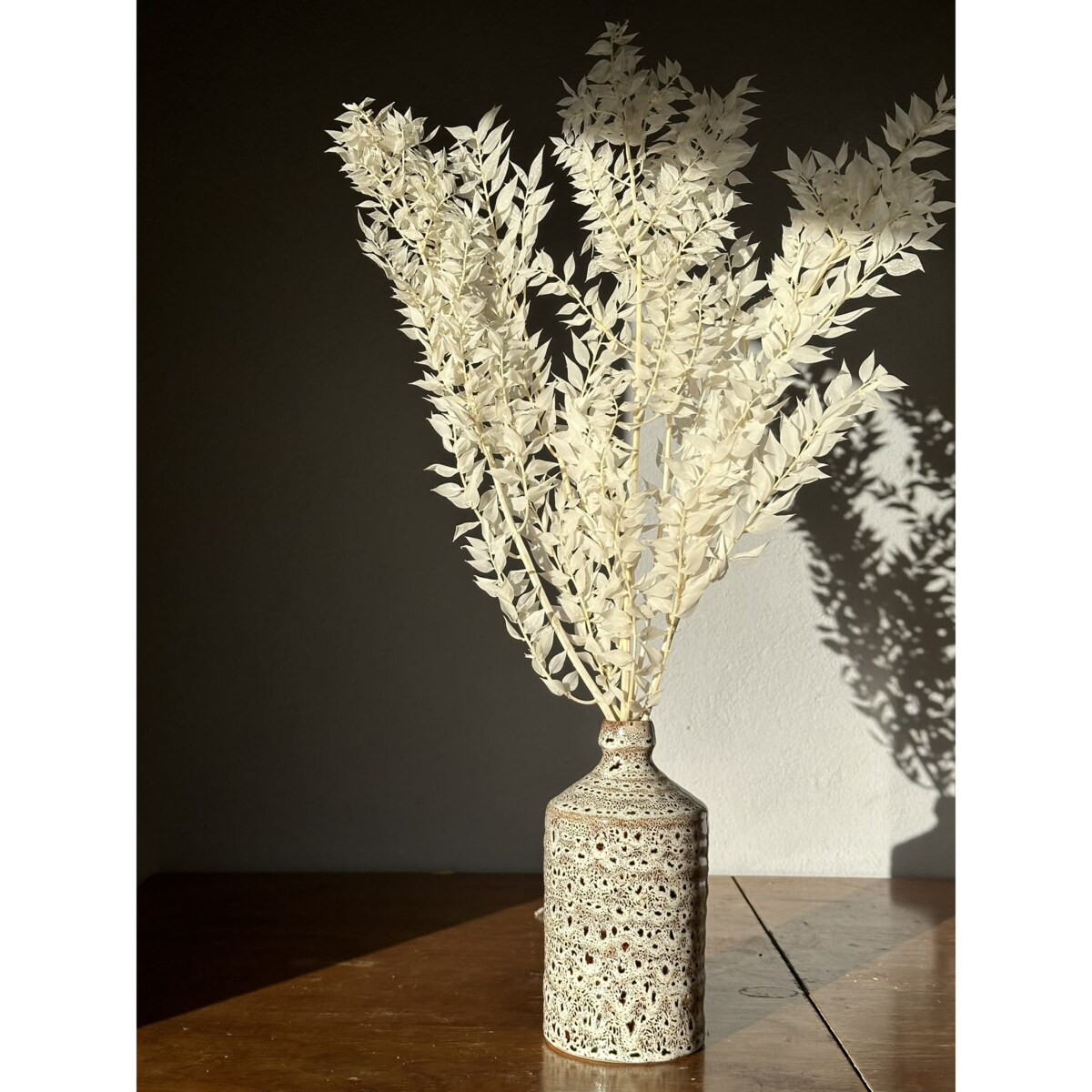 Stabilizowany ruskus bielony 5 gałązek