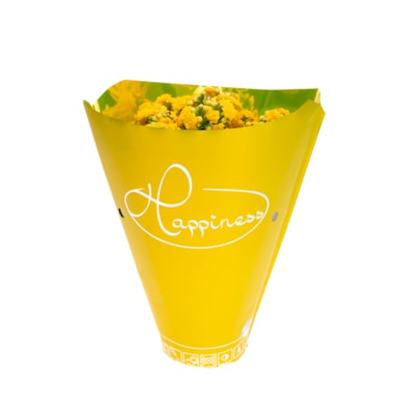 Kalanchoe blossfeldiana Happiness kolor żółty Ø 12cm wysokość 24cm