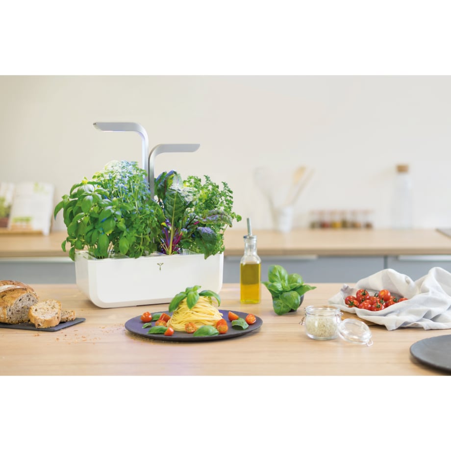 Doniczka Véritable Classic