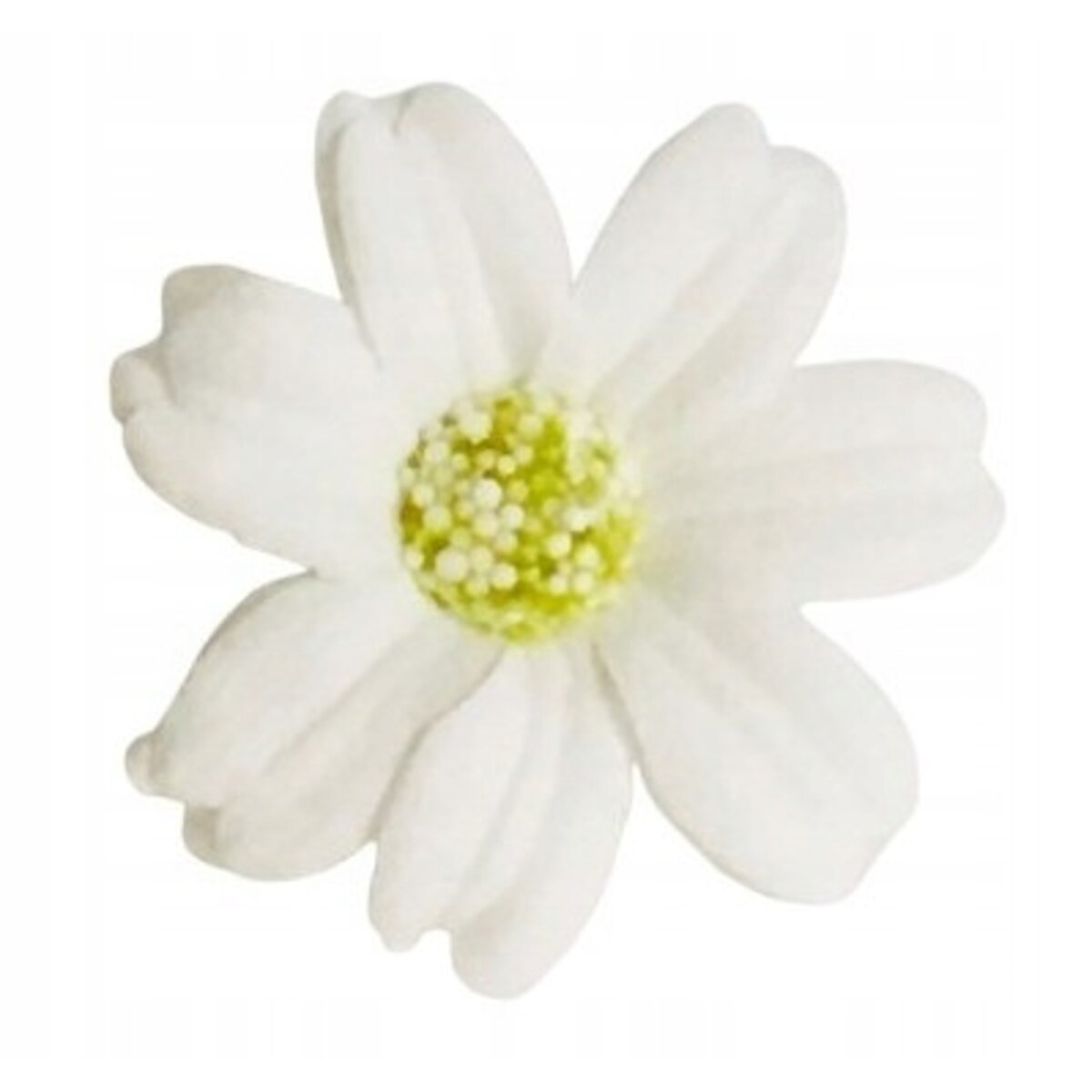 STOKROTKA BIAŁA 3x kwiaty mydlane do bukietów dekoracji boxy flower 4cm