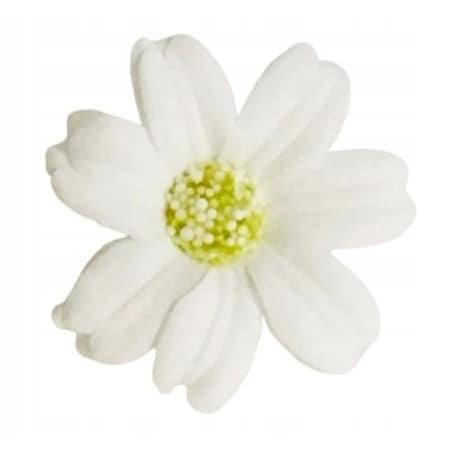 STOKROTKA BIAŁA 3x kwiaty mydlane do bukietów dekoracji boxy flower 4cm