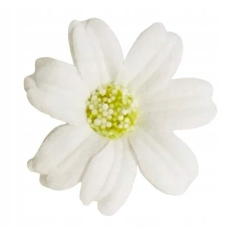 STOKROTKA BIAŁA 3x kwiaty mydlane do bukietów dekoracji boxy flower 4cm