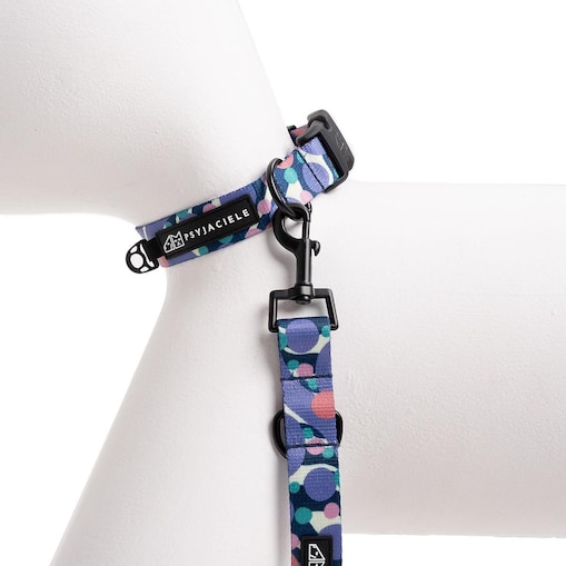 Obroża dla psa lub kota "Pies z głową w dół" - Szerokość taśmy: 38mm, Rozmiar: XS