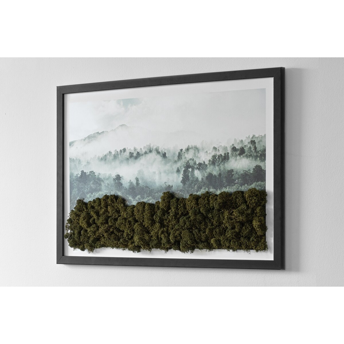 Obraz Las we mgle - mech chrobotek w czarnej ramie 60x40cm