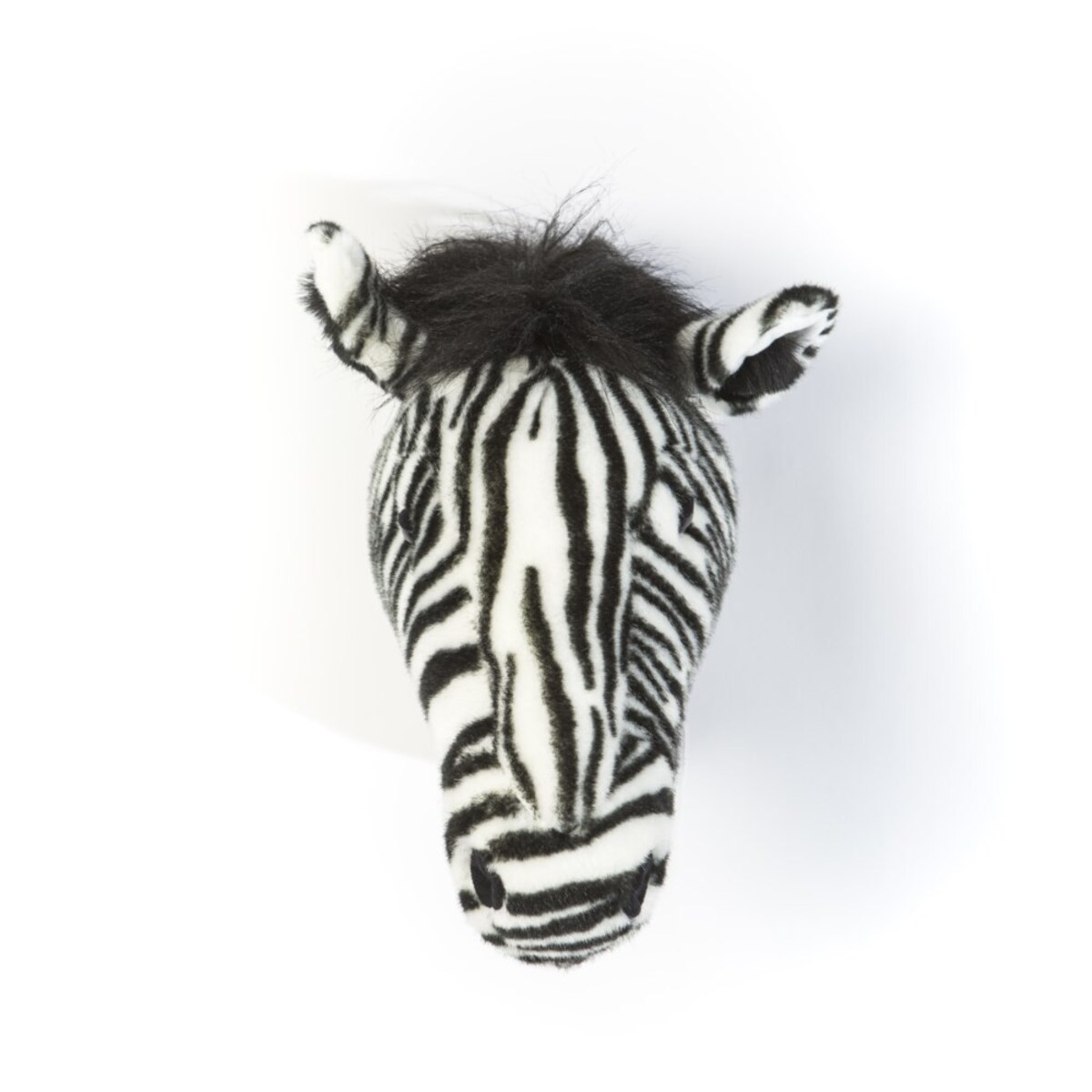 Trofeum zebra Daniel Wild&Soft