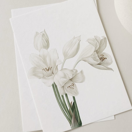 Plakat Krynia 30x40cm