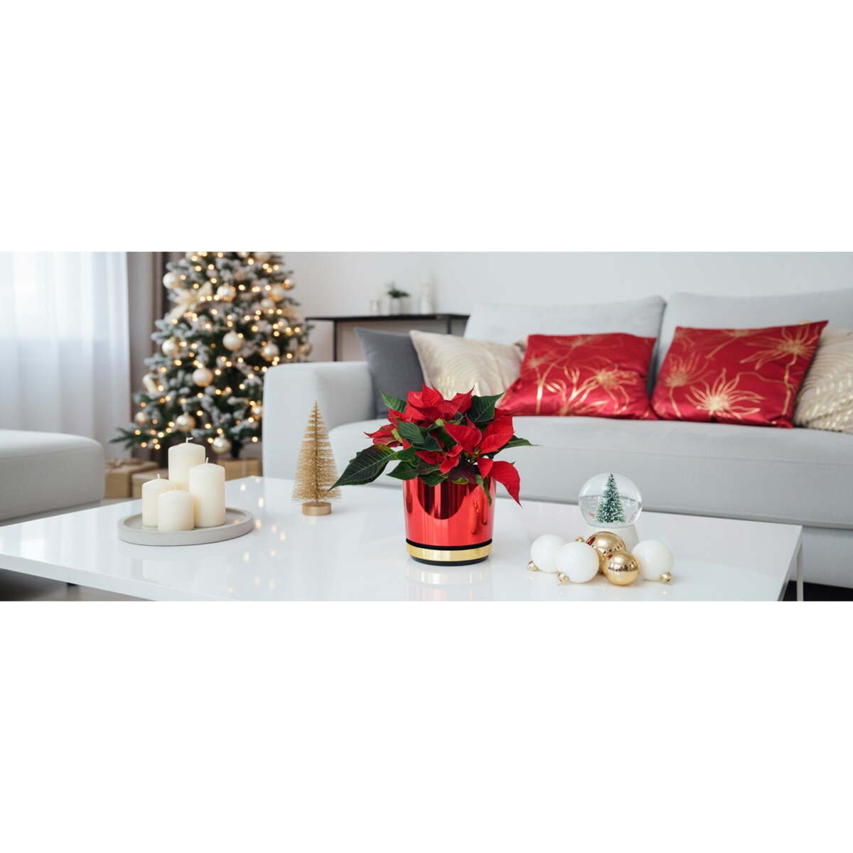 14 cm Doniczka z podstawką Czerwona + Złoty błyszczący wysoki połysk świąteczna do POINSECJI Gwiazdy Betlejemskiej dekoracja do stroików z drenażem wzór DUO/083/011