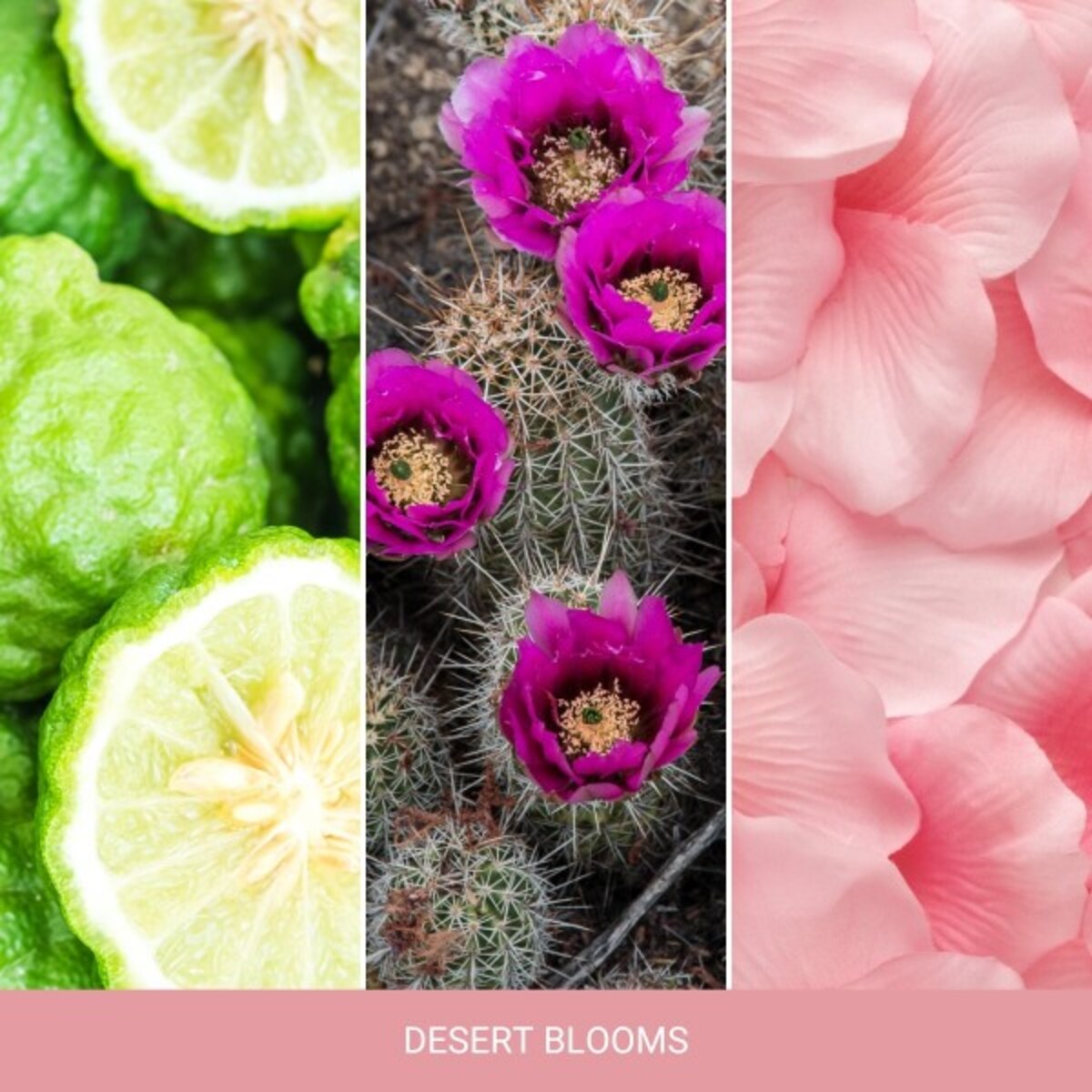 YC SIGNATURE – Świeca średnia DESERT BLOOMS