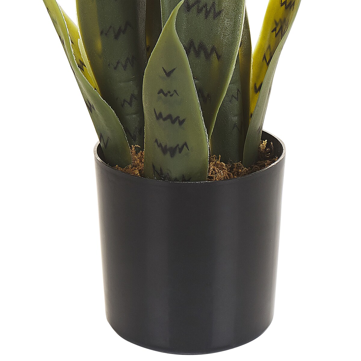 Sztuczna roślina SNAKE PLANT 40 cm Zielony