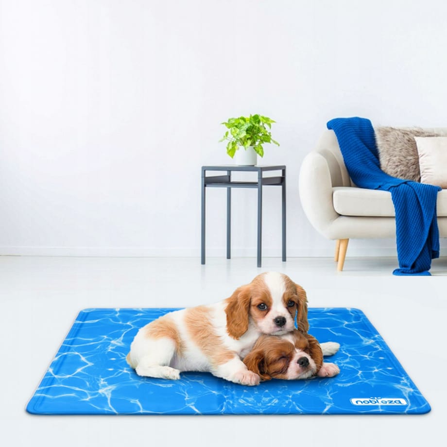 Mata Chłodząca Dla Psa Kota 50X40 Cm Z Nadrukiem Mocno Chłodzi