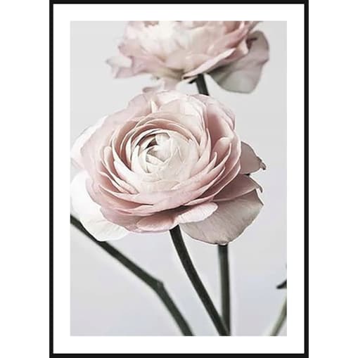Poster Story, Plakat, Obraz - Delikatne Róże No3, wymiary 30 x 42 cm