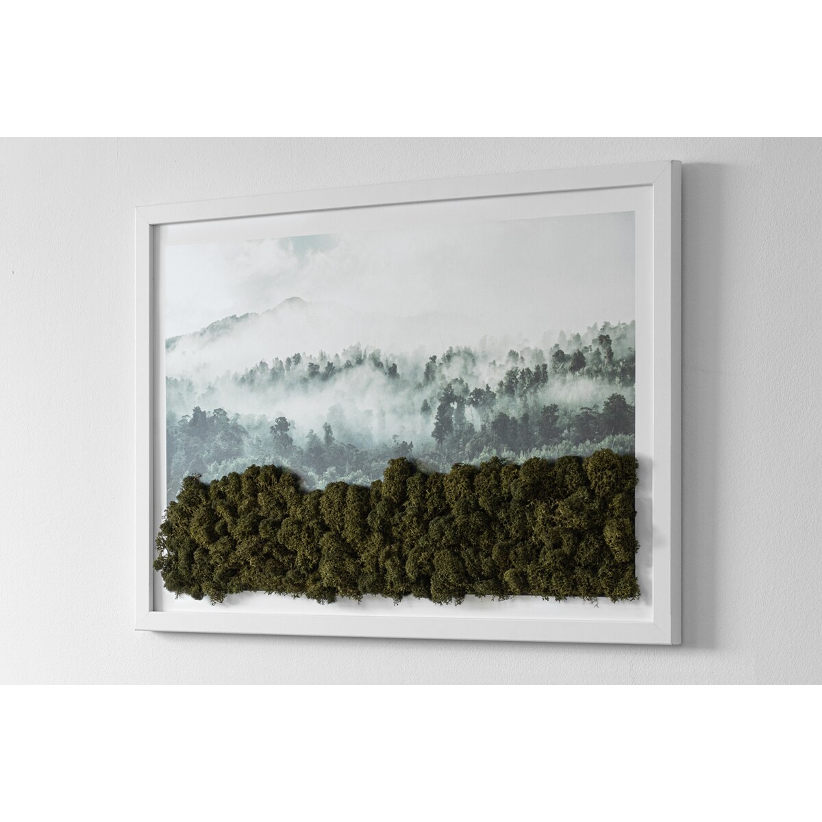 Obraz Las we mgle - mech chrobotek w białej ramie 60x40cm