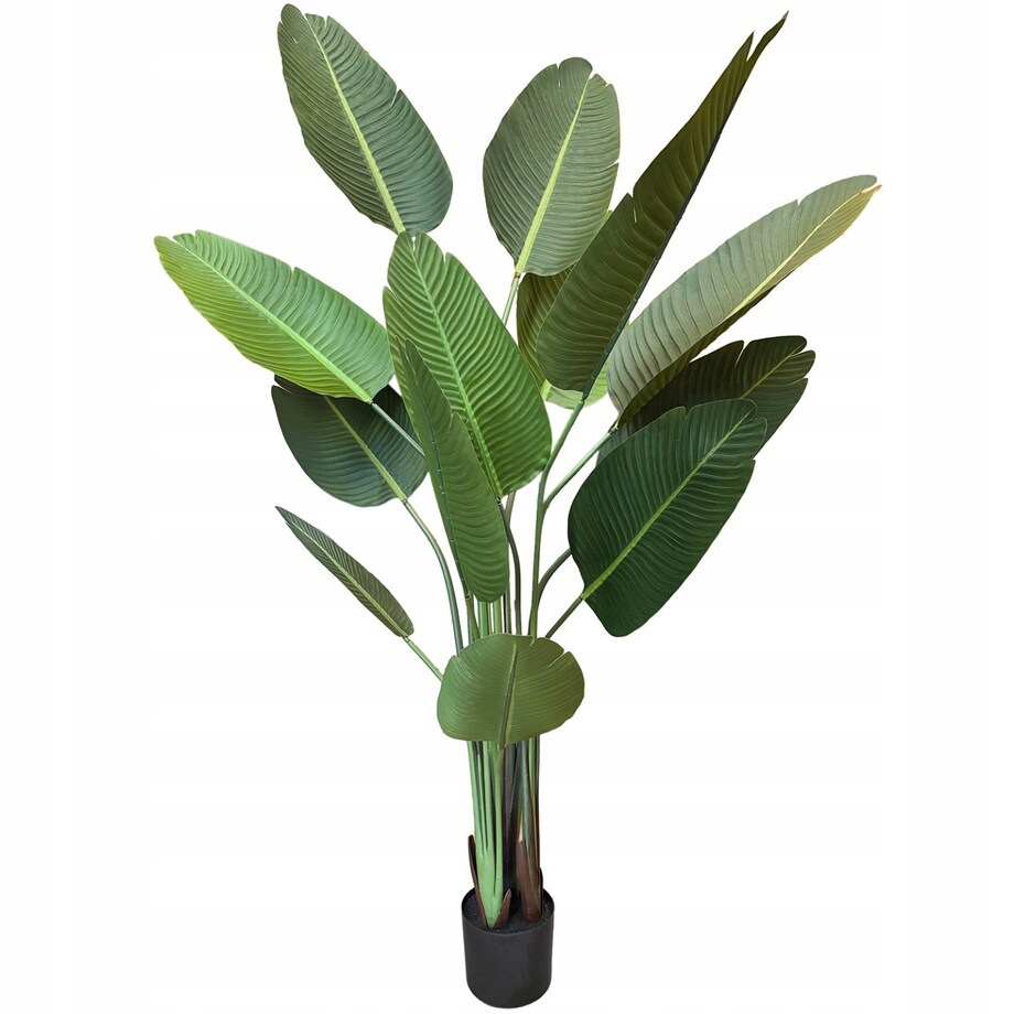 Sztuczna Strelicja XXL 190 cm