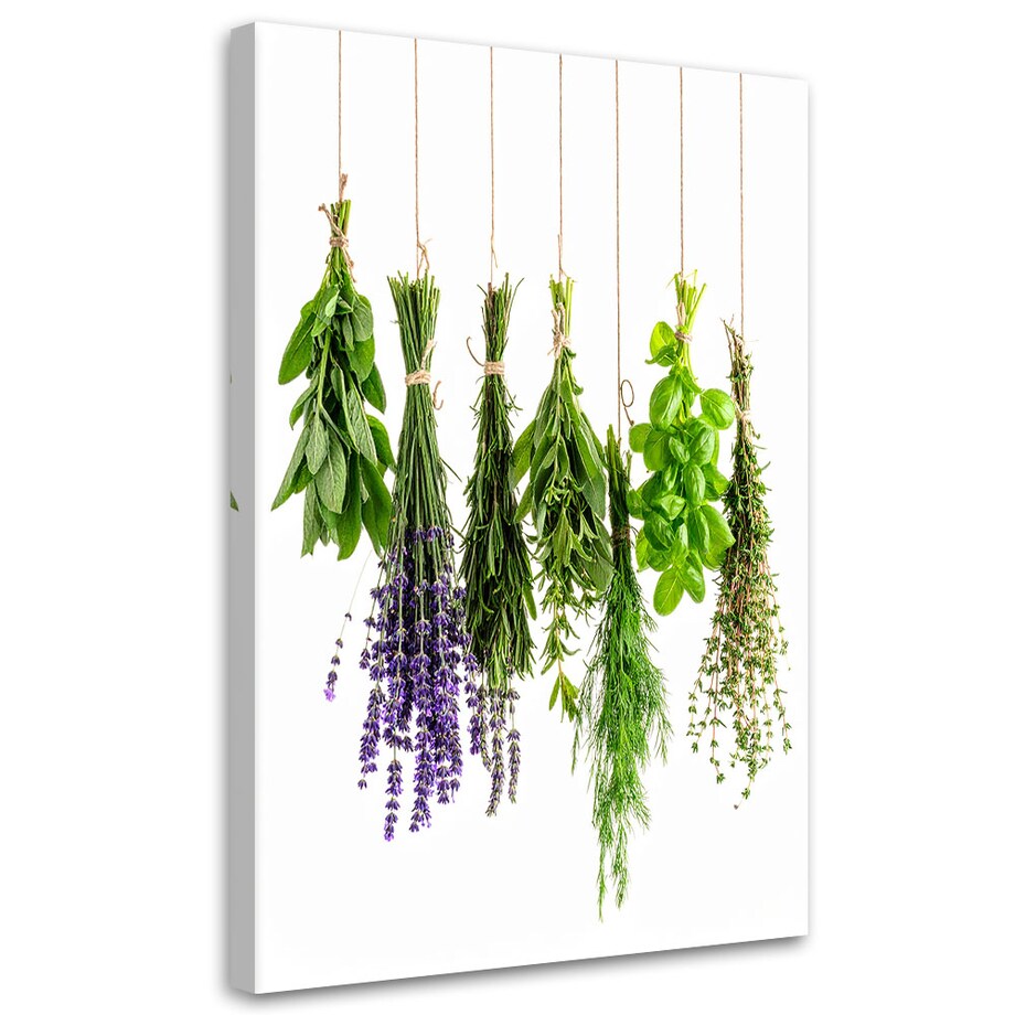 Obraz do kuchni jadalni, Wiszące zioła 60x90