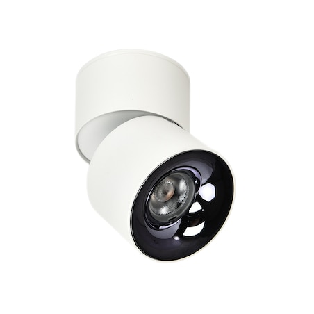 Oprawa natynkowa Light Prestige Brema biały LED CCT 3000K/4000K/6000K (regulowana) 1 szt.
