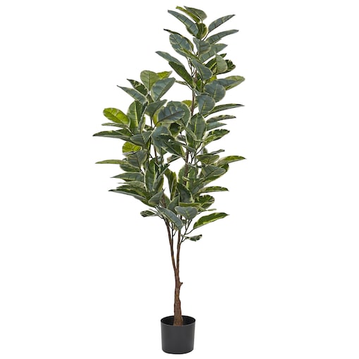 Sztuczna roślina FICUS ELASTICA 160 cm Zielony