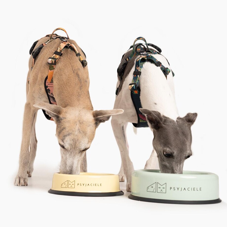 Miska "Dej dej dej" większa