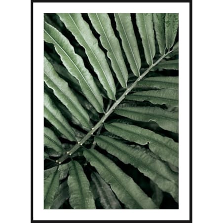 Poster Story, Plakat, Obraz - Zielony Liść Paproci, wymiary 21 x 30 cm