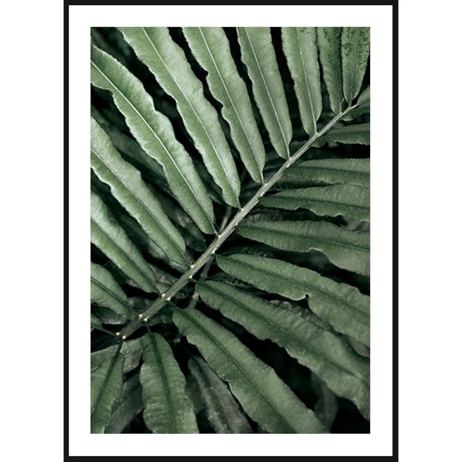Poster Story, Plakat, Obraz - Zielony Liść Paproci, wymiary 21 x 30 cm