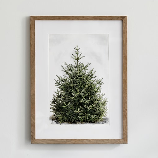 Plakat Jodła 21x30cm