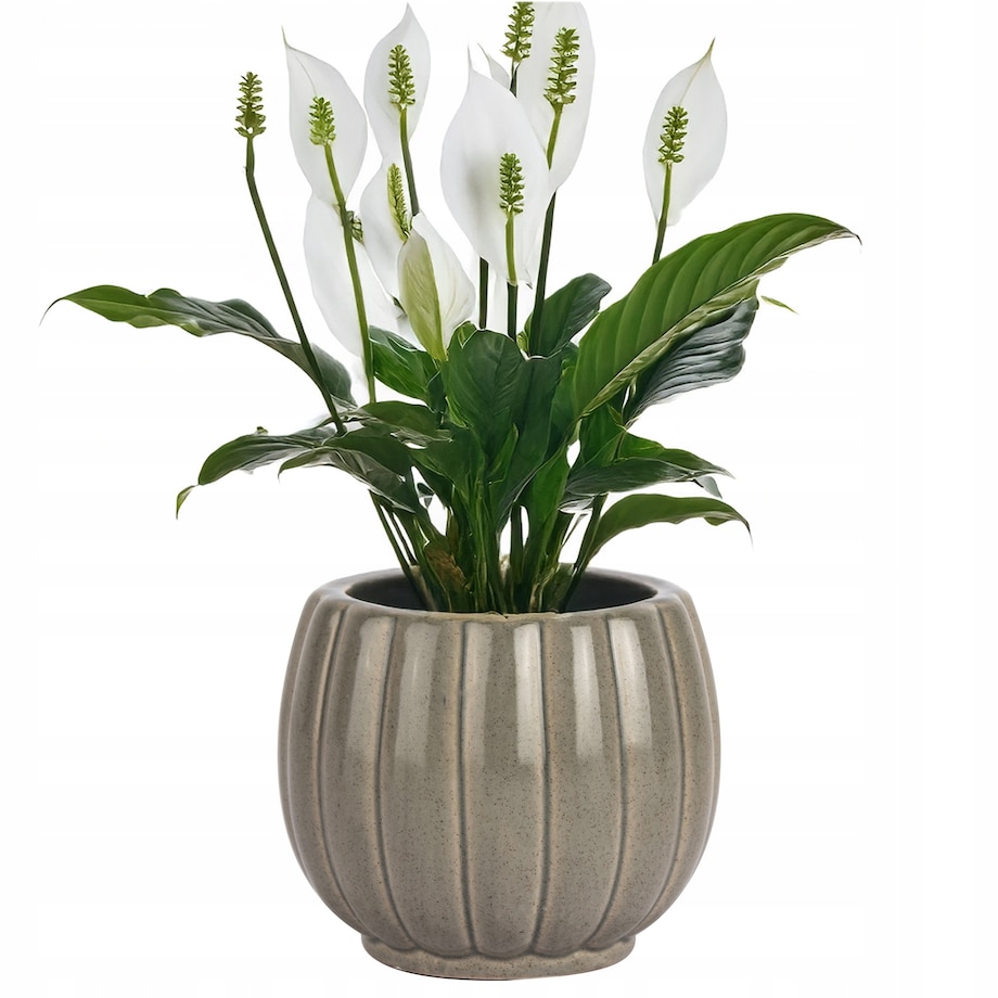 OSŁONKA NA DONICZKĘ CERAMICZNA SZARA 10cm mała na kwiaty sukulenty do domu