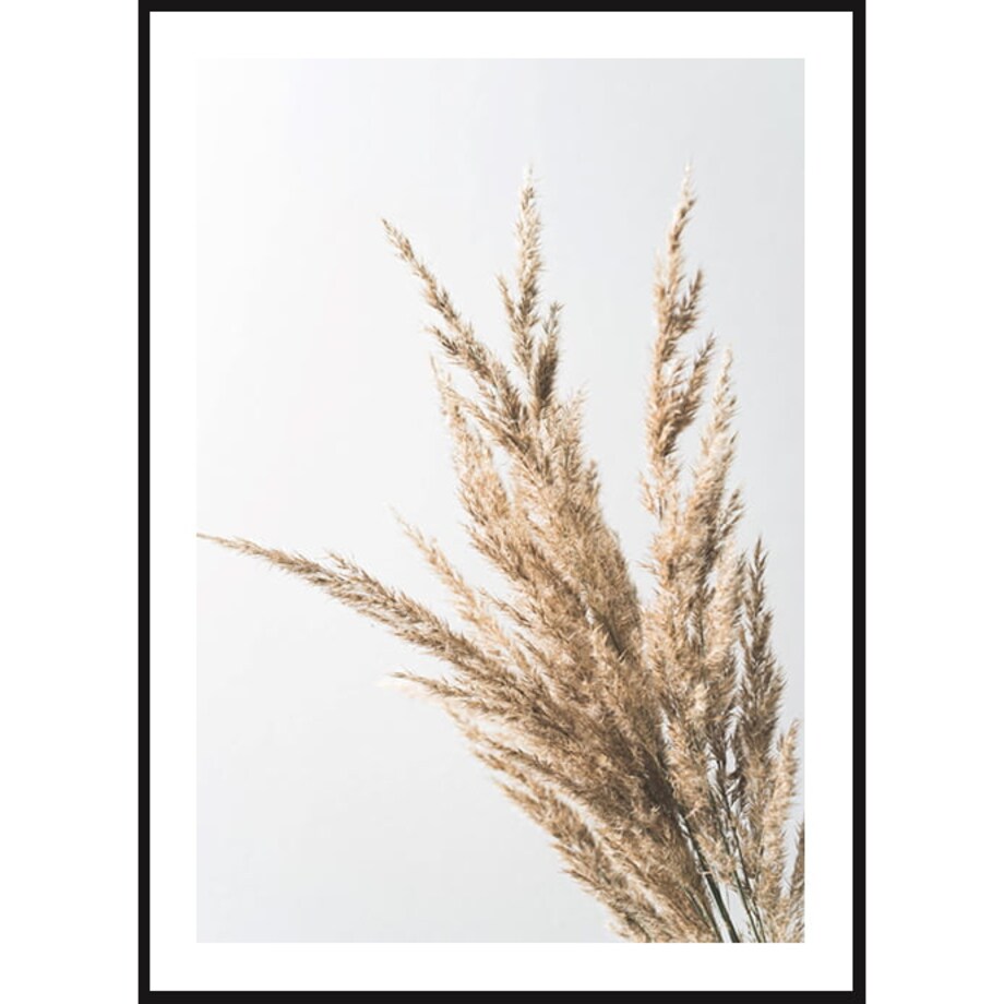 Poster Story, Plakat, Obraz - Suszona Wiązka Trawy, wymiary 50 x 70 cm