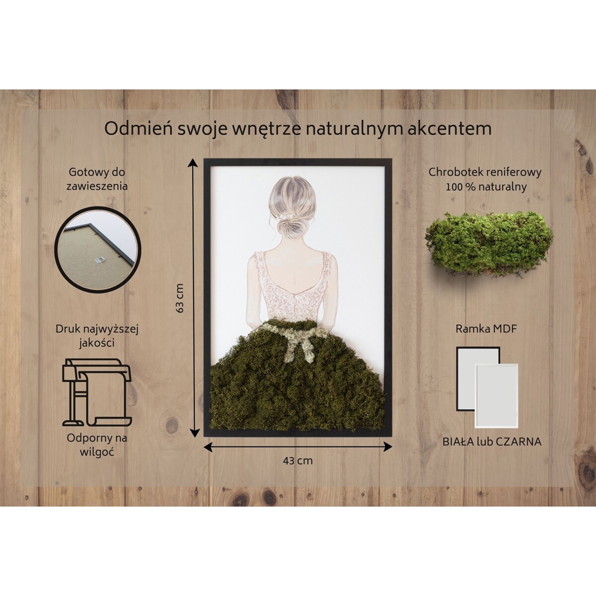 Obraz Baletnica - mech chrobotek w czarnej ramie 40x60cm