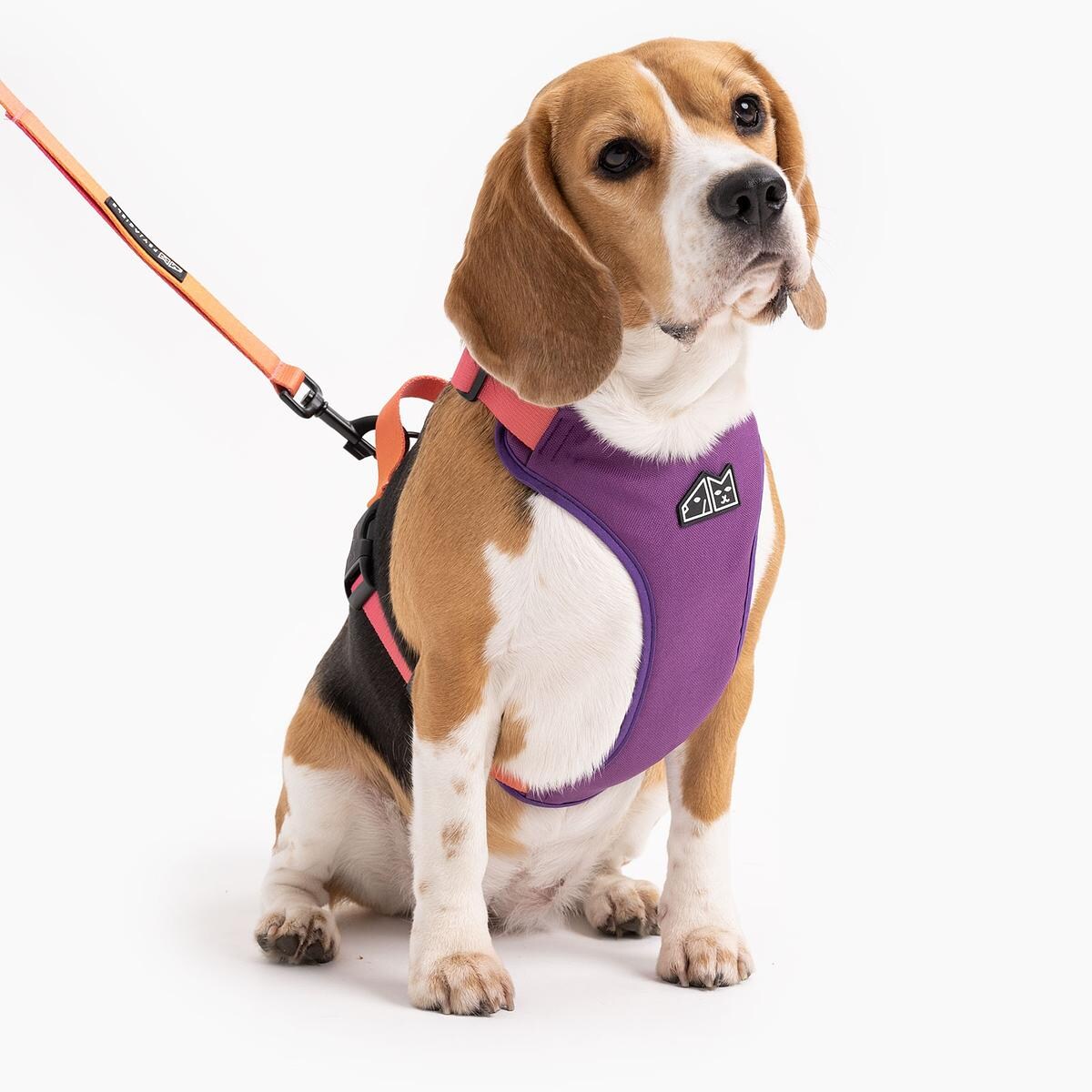 Szelki bezuciskowe dla psa lub kota "Under my ombrella" POMARAŃCZ - Szerokość taśmy: 15mm, Rozmiar: XXS