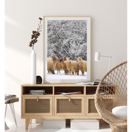 Poster Story, Plakat, Obraz - Owieczki w Płatkach Śniegu, wymiary 70 x 100 cm