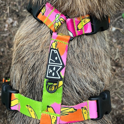 Szelki guard Stay on "Owoc falliczny 2.0" - Szerokość taśmy: 25mm, Rozmiar: M