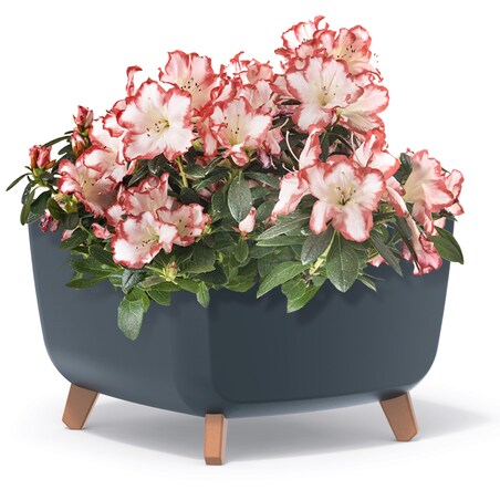 Donica Na Cmentarz Doniczka Na Nóżkach Na Wszystkich Świętych Antracytowa 39 Cm