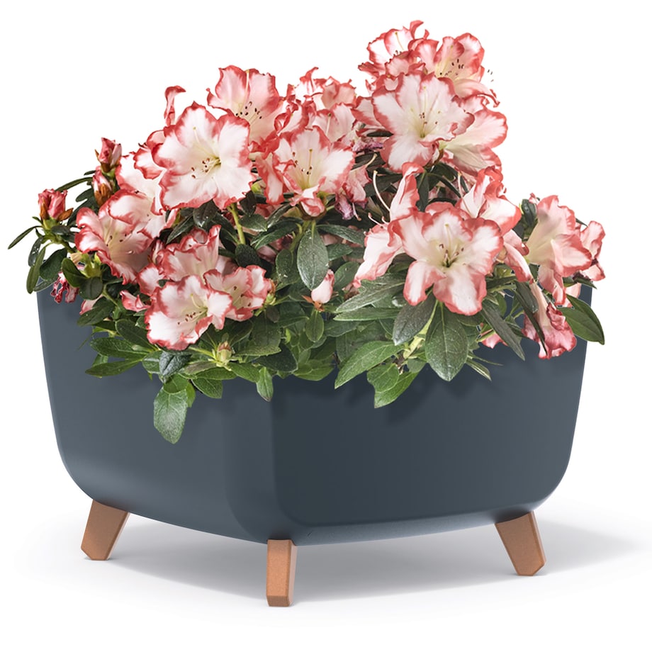 Donica Na Cmentarz Doniczka Na Nóżkach Na Wszystkich Świętych Antracytowa 39 Cm