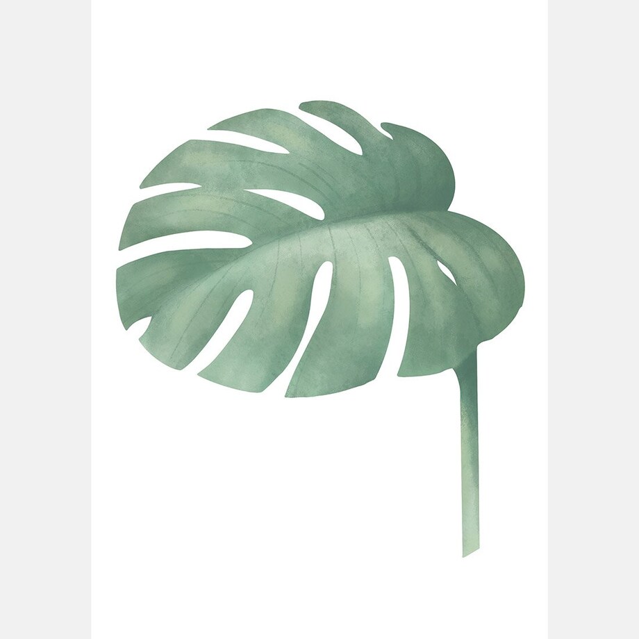 Plakat dla dzieci Monstera 50x70