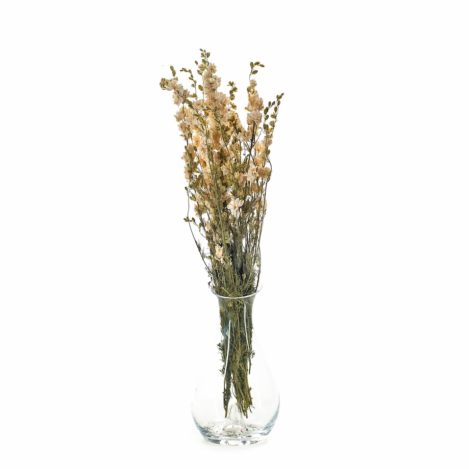 Ostróżka Suszona Biała