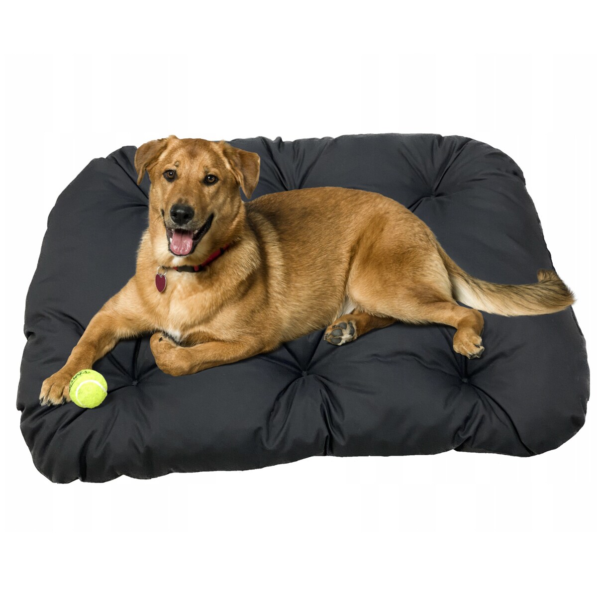 Legowisko Dla Psa Poduszka Posłanie Wytrzymałe 70X50 Cm Czarne