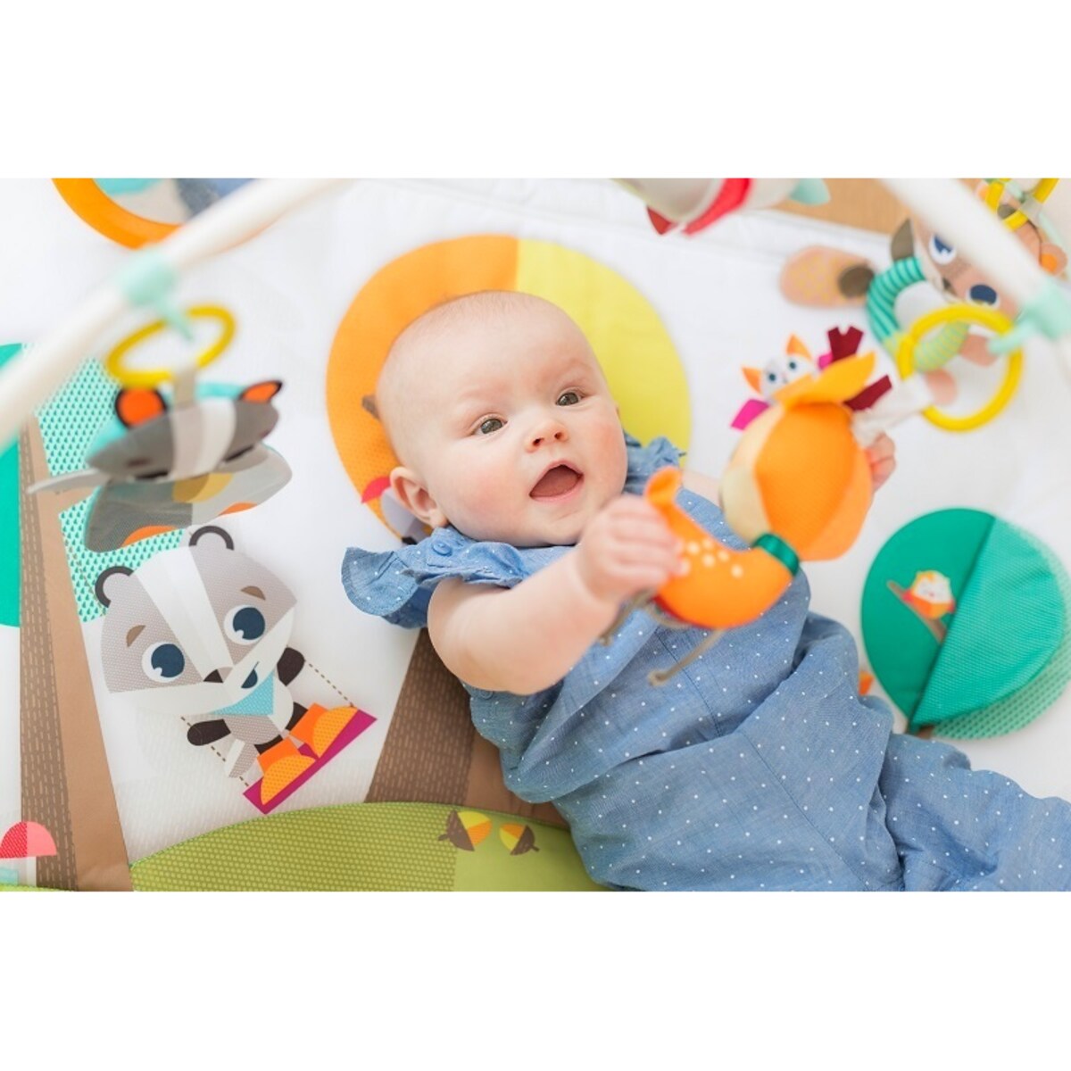 Gimnastyka/mata edukacyjna z pałąkami - Leśna Kraina