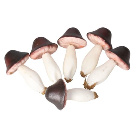 Grzybki Dekoracyjne 6Szt Ozdoba Do Stroika