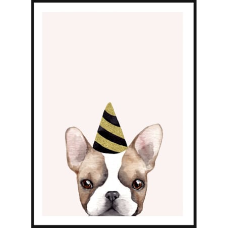 Poster Story, Plakat, Obraz - Buldog Francuski w Urodzinowej Czapce, wymiary 21 x 30 cm