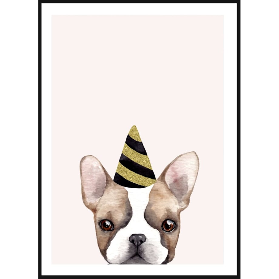 Poster Story, Plakat, Obraz - Buldog Francuski w Urodzinowej Czapce, wymiary 21 x 30 cm
