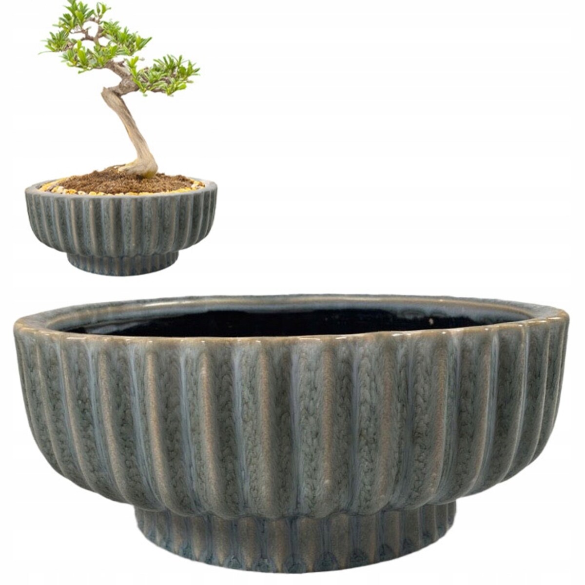 DONICZKA CERAMICZNA PŁASKA 26cm błękitna na bonsai palmy do salonu