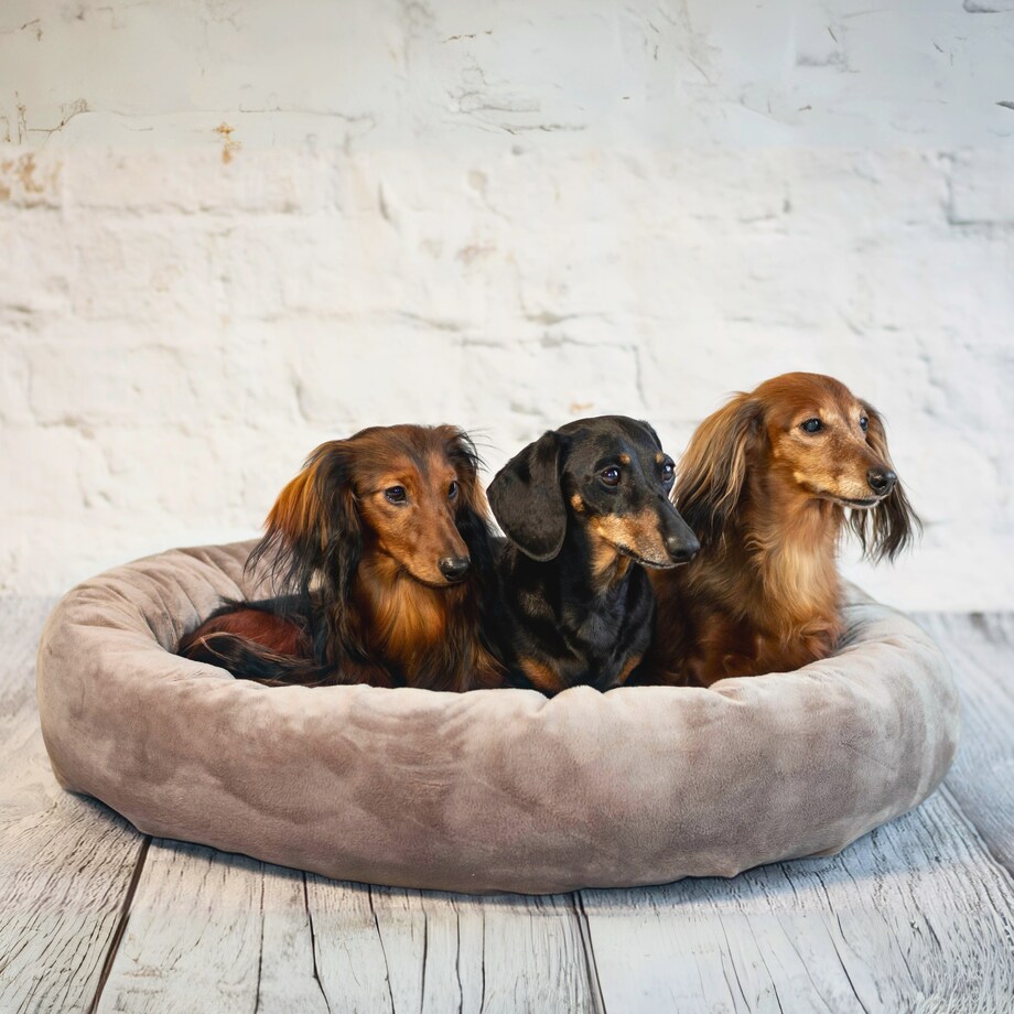 Pluszowe legowisko dla psa lub kota BUZZY, 60x55 cm, Brąz